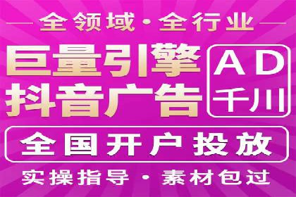 SEM代运营经典案例解析与启示